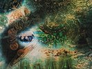 Pink Floyd A Saucerful of Secrets (2016 Version)