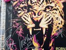Social Distortion - Born To Kill - Band Signed Indie Exclusive Pink & Yellow 2LP