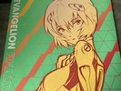Yoko Takahashi & Megumi Hayashibara Evangelion Finally (Vinyl) -Pink Splatter Nm