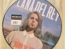 ORIGINAL MINT Lana Del Rey Born to Die Picture Disc Vinyl LP RSD 2013 US Edition
