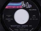 Northern Soul 45 IKETTES What'cha Gonna Do PHI-DAN NM promo HEAR f