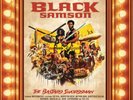 Wu-Tang Clan Black Samson, the Bastard Swordsman (Vinyl) 12
