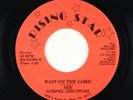 Sweet Soul Gospel 45 - Gospel Disciples - Wait On The Lord - Rising Star