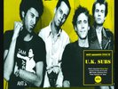 UK Subs Peel Sessions 1978-79 (Vinyl) 12