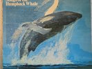 Capitol Roger S. Payne Songs of the Humpback Whale 12