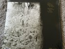 For Emma, Forever Ago by Bon Iver (Record, 2008)