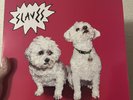 Slaves/Soft Play Are You Satisfied Vinyl Record, Preowned 12”