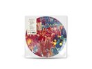 LIMITED EDITION PAUL MCCARTNEY THE BOYS OF DUNGEON LANE PICTURE DISC PRE-SALE