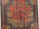 The Beach Boys Love TD-1935 Stereo Union Taiwan Import Vintage 1977 LP Vinyl EX
