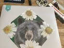 The National Cherry Tree Vol. 5 Live at Bearville Theater Vinyl - plus gifts