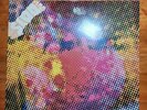 The Litter – $ 100 Fine Vinyl 1999 LP - 180g - Get Hip – Garage Rock Psych