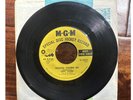 Burt Ward Oranged Colored Sky / Boy Wonder I Love You MGM 7