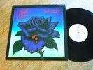Thin Lizzy- Black Rose (A Rock Legend)  VPI Cyclone Clean 1979 Vinyl NM/EX/NM