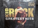 KID ROCK: Greatest Hits You Never Saw Coming 2LP Vinyl VG+ Shrink Hype Sticker