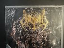 Unleashed - Shadows In The Deep „Original First Press LP“