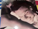 SEALED Back in the High Life [LP] by Steve Winwood (Vinyl, Island Records USA)