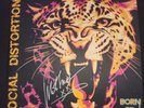 Social Distortion Born To Kill Signed Vinyl Record LP Gibson Gold Colored
