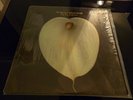 SPENCER JACKSON  FAMILY THE HAND OF GOD IN SHRINK GOSPEL FUNK 1974 BLUESWAY VG++