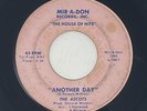 45/7in - The Ascots - 