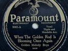 GOLDEN MELODY BOYS When The Golden Rod Is Blooming PARAMOUNT PRE WAR COUNTRY  78