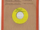 Pioneers Reggae Fever
