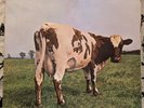 PINK FLOYD Atom Heart Mother UK LP 1970 A-1G / B-1G EX PSYCH Prog EX