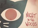 Night in the Woods Vinyl Record Soundtrack - Black Vinyl, Record Format