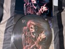 Iron Maiden Vinyl Records 10 Inch Picture Disc Maiden Live Roskilde Limited Ed