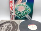 Kerry Livgren ‎– Seeds Of Change Japan LP OBI VINYL Kirshner ‎– 25AP 1912 KANSAS