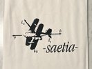 RARE Saetia Venus & Bacchus 7