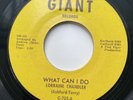 LORRAINE CHANDLER - WHAT CAN I DO