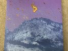 Pelican Flickering Resonance 2 LP Colored Vinyl Record