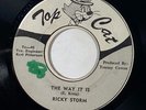 Ricky Storm 