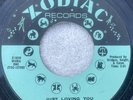 RUBY ANDREWS Zodiac Z 1010  Just Loving You The Love I Need  US SOUL 45 G2U