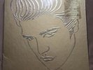ELVIS PRESLEY-A GOLDEN CELEBRATION SEALED RCA RECORDS 6 VINYL LP SET RARE PROMO