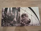 *New Vinyl LP Print*  Vs. by Pearl Jam (translucent vinyl disc) *FREE SHIPPING*
