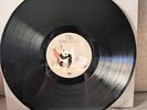 This Town Needs Guns (TTNG) - Animals (Acoustic); LE Black vinyl; Near Mint;