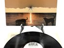 Hüsker Dü: New Day Rising - LP