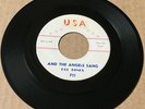 Del Tones 1961 WHITE DOO WOP 45 Please Talk To Me / The Angels Sang USA M- HEAR