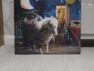 Fall Out Boy _ Infinity On High Clear With Red Splatter Vinyl 2LP Sealed