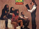 Steel Pulse - True Democracy (LP) (Very Good Plus (VG+)) - 4211717070