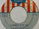 Garage Psych 45 THE CHERRY SLUSH I Cannot Stop You U.S.A. Don't Walk Away HEAR