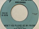 Garage 45 NEW ERA Won't You Please Be My Friend GREAT LAKES Ain't Got Time HEAR