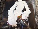 Arca – Xen - LP Vinyl Record 12