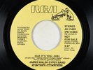 70s Soul 45 - James Walsh Gypsy Band - Cuz It's You Girl - RCA - VG+ promo