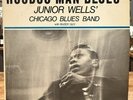 Junior Wells Hoodoo Man Blues VG+ LP 1974 Delmark DS-612 Buddy Guy