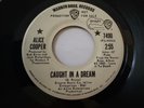 Alice Cooper 45 