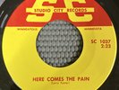 The Shandells - Here Comes the Pain 1965 Vinyl 45 Wisconsin Garage VG+