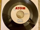 Modulation Corporation “What To Do/ Worms” Rare Garage Psych ATOM 45 EX