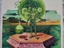 NEAR MINT NEKTAR 